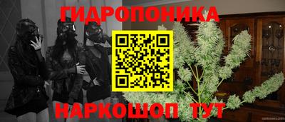 бутират Гусь-Хрустальный