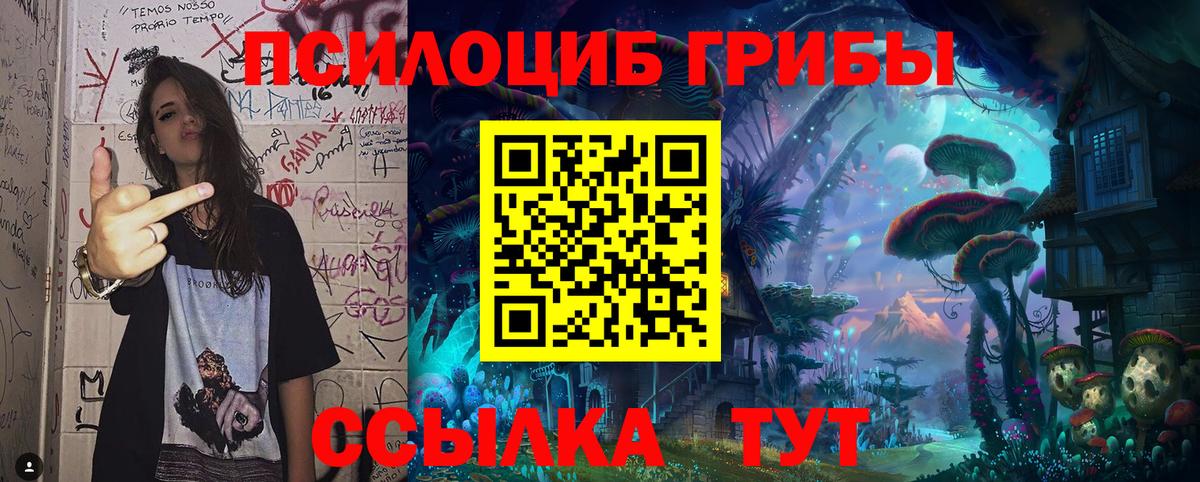 Псилоцибиновые грибы мицелий Назарово